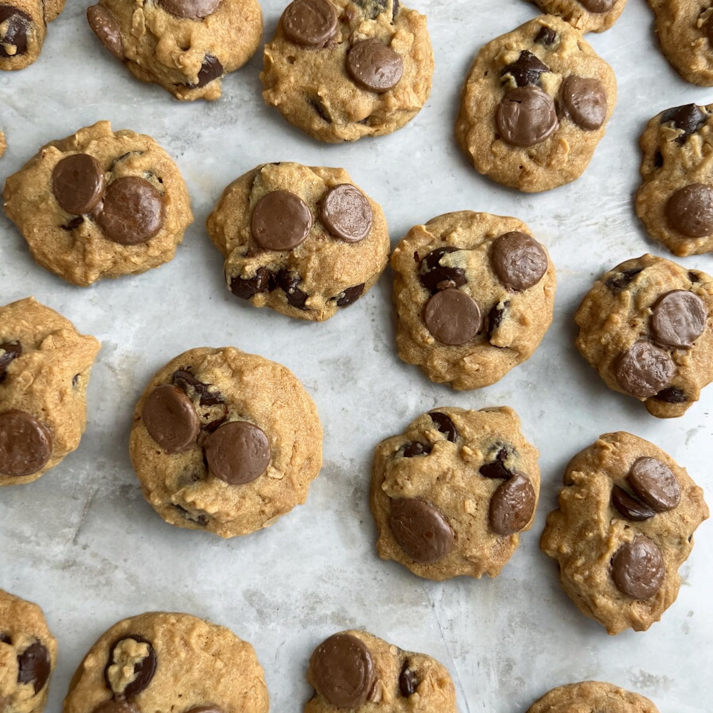 Callebaut Chocolate Chips Cookies